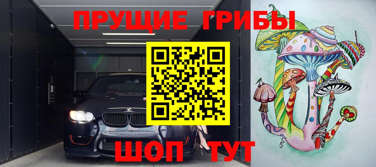 Галлюциногенные грибы MAGIC MUSHROOMS  закладка  Назарово  Вход с VPN 