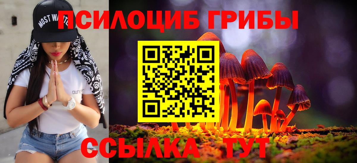Псилоцибиновые грибы Cubensis Назарово